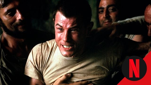 'Expreso de medianoche', un clásico de Tarantino y todas las películas que estrenan en Netflix a partir de enero 2026 noticias imagen