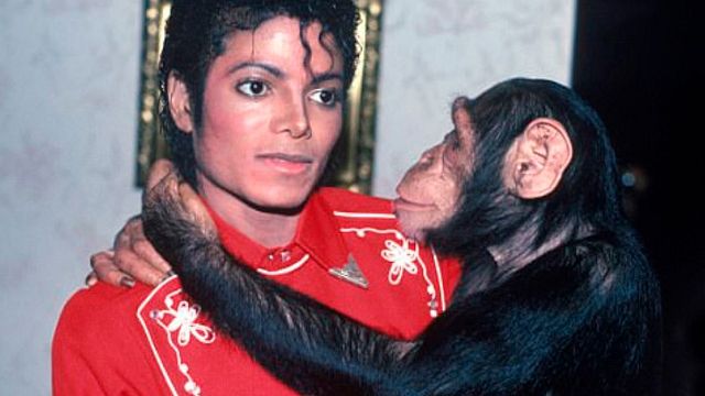 Sigue vivo y tiene 43 años: por qué el chimpancé de Michael Jackson no apareció en la biopic noticias imagen