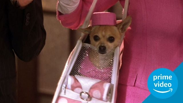 No la busques en Netflix: la película de comedia que te salvará la noche está en Prime Video noticias imagen