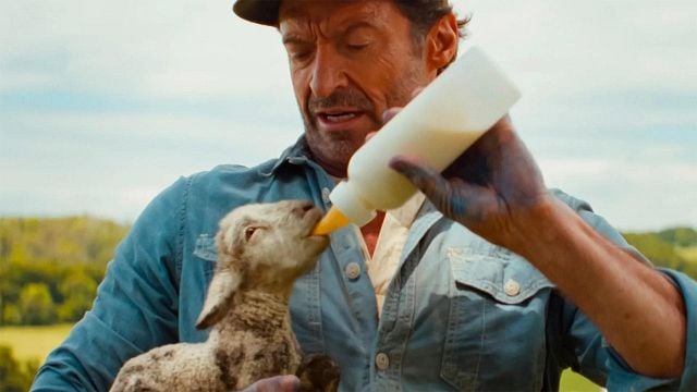 Un misterio tipo Knives Out, animales y Hugh Jackman: la película con mejores críticas que está sorprendiendo a todos noticias imagen