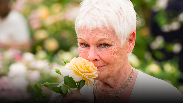 Tiene 89 años, 1 Oscar y apareció en 'Piratas del Caribe': Legendaria actriz planea retirarse porque ya no puede ver noticias imagen