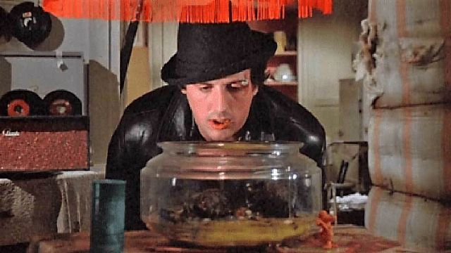 La historia más tierna de Sylvester Stallone: así fue el cameo de las tortugas originales de ‘Rocky’ para 'Creed II' que solo los verdaderos fans notaron noticias imagen