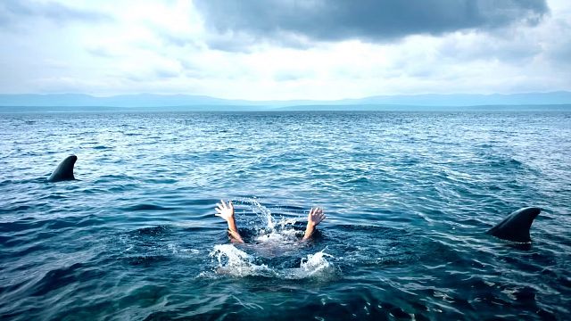 79 minutos de pura emoción en Prime Video: el emocionante thriller para los fans de 'Tiburón' que puedes disfrutar este fin de semana desde tu casa noticias imagen