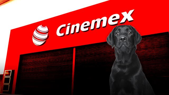 Trabajador de Cinemex sacó con violencia a perrito de un complejo y lo cancelan