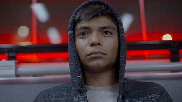 'Sujo' gana el Premio Ariel a Mejor película: Esta es la lista completa de ganadores de la edición 2025 noticias imagen