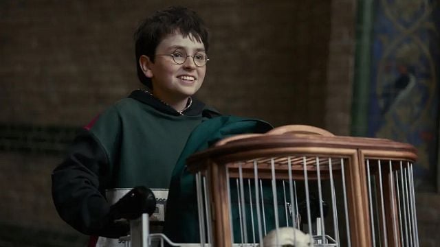 Los 3 personajes clave de los libros que la serie de Harry Potter finalmente rescatará tras ser borrados del cine noticias imagen