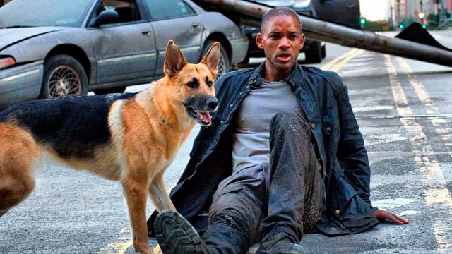 Ellos son los mejores papás con perrhijos en películas y series noticias imagen