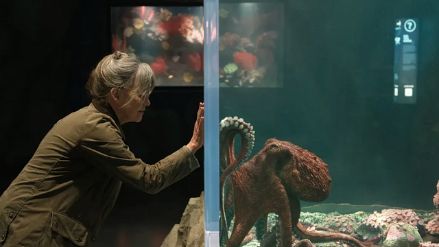 'Criaturas luminosas' y todas las películas estreno que llegan a Netflix México durante mayo noticias imagen