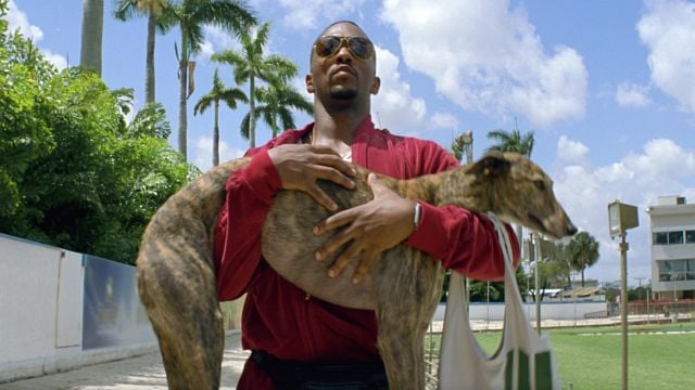 Una película tan impactante que nos cuesta creer que está inspirada en hechos reales noticias imagen