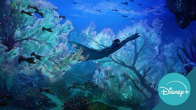 Para ver en Disney+: la película que debes ver en la mejor pantalla posible para alucinar con sus océanos realistas noticias imagen