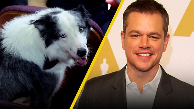 ¡El perrito de ‘Anatomía de una caída’ se orinó en Matt Damon en los Oscar 2024!