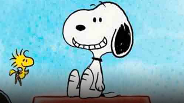 El perrito que se hizo viral por ser idéntico a Snoopy (morirás de ternura) noticias imagen