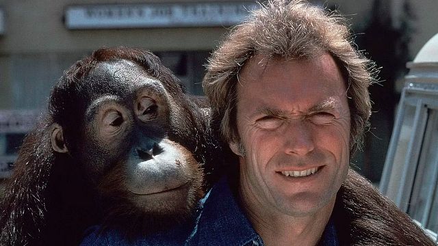 “Todos me rogaron que no hiciera esta película”: Clint Eastwood no escuchó a nadie y tuvo el mayor éxito de su carrera noticias imagen