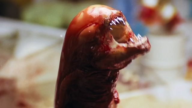 Un malestar estomacal real inspiró una de las escenas de ciencia ficción más icónicas y perturbadoras del cine noticias imagen