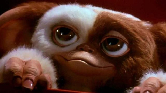 Llegan los Gremlins con un maratón especial: cuándo y qué hora ver el clásico ochentero en el Canal 5 noticias imagen