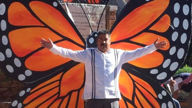 ¿Quién fue realmente Homero Gómez, 'El guardián de las monarcas' de Netflix? noticias imagen