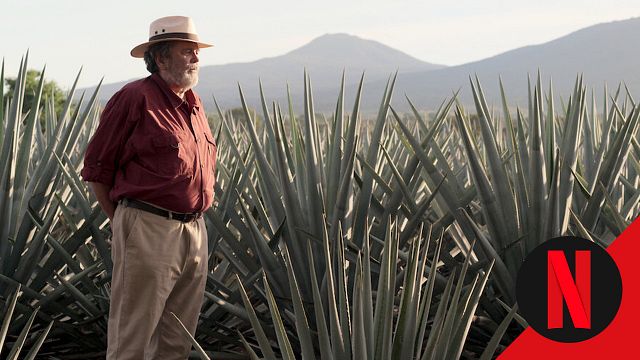 Paralizó Guadalajara: la impactante serie de Netflix sobre la ambición y el poder noticias imagen