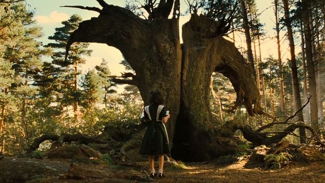 Guillermo del Toro rechazó a todos los superhéroes para filmar su mayor éxito de fantasía y no es ‘Frankenstein’ noticias imagen