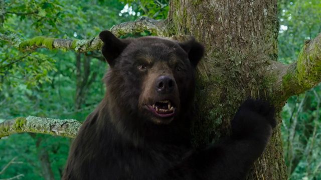 Oscar 2023: El 'Oso vicioso' casi tira a Elizabeth Banks antes de premiar 'Avatar 2' noticias imagen