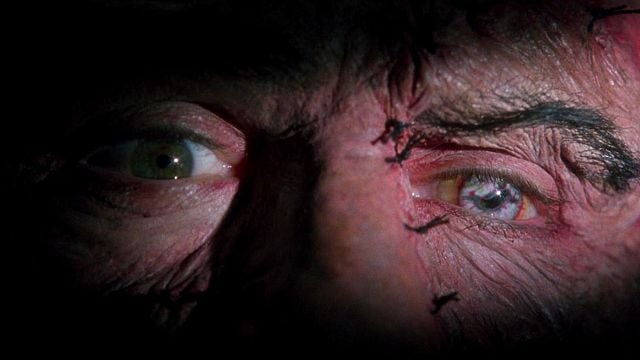 Antes de Guillermo del Toro: el 'Frankenstein' que unió al actor de 'El Padrino' con la estrella favorita de Tim Burton noticias imagen