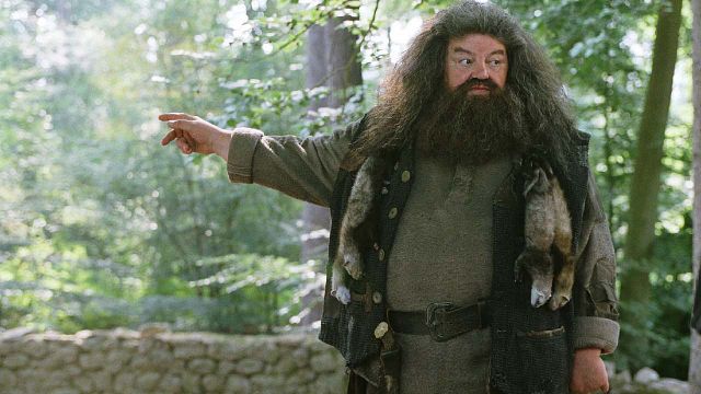 'Harry Potter': Uno de sus personajes más queridos tiene un tierno peluche a un precio irresistible en Amazon noticias imagen