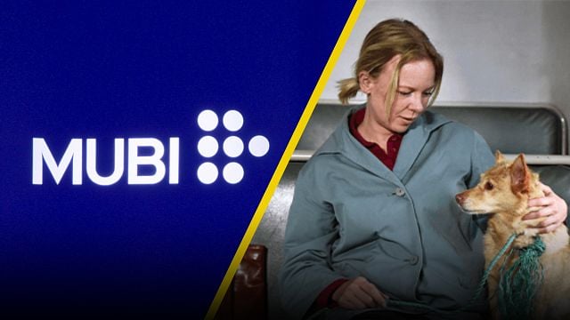 'Hojas de otoño': MUBI y Cine Tonalá tendrán función especial para ayudar a perritos sin hogar noticias imagen