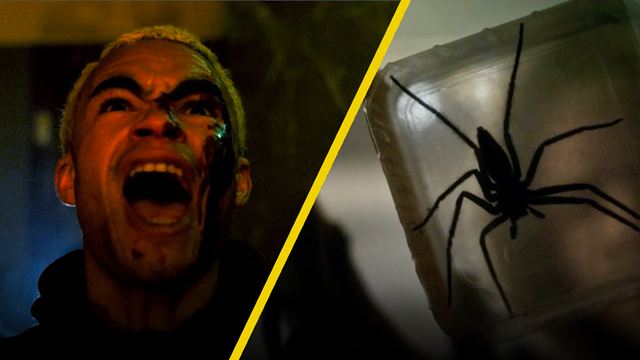 ‘Aracnofobia’ era un juego de niños en comparación con esta nueva película de terror que utilizó espeluznantes arañas reales
