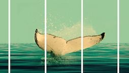 10 películas imprescindibles del Festival de Los Cabos noticias imagen