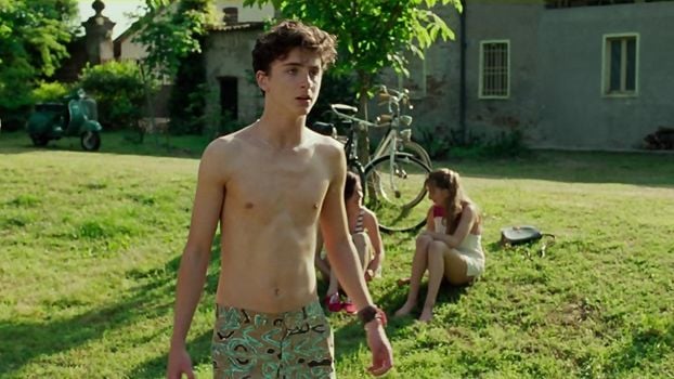 Timothée Chalamet: 5 razones por las cuales deberías saber quién es él noticias imagen