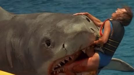 Los ataques de tiburón más espeluznantes del cine noticias imagen