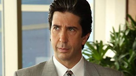 David Schwimmer regresa a la TV con 'Will and Grace' noticias imagen