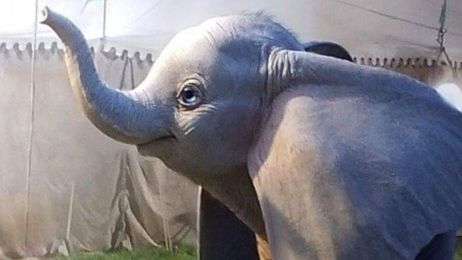 'Dumbo' vuela alto en su segundo trailer noticias imagen