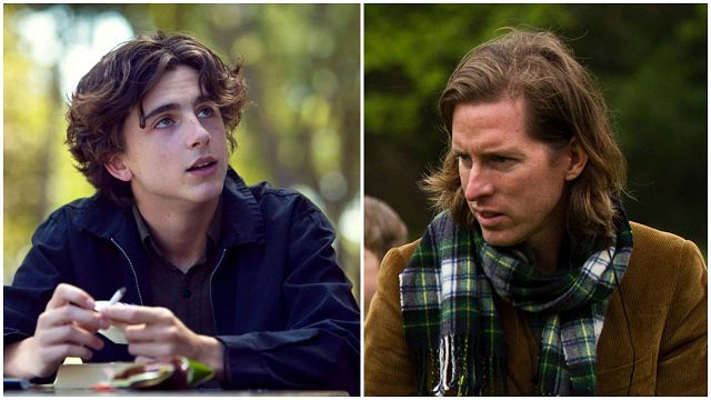 Timothée Chalamet protagoniza la nueva cinta de Wes Anderson noticias imagen