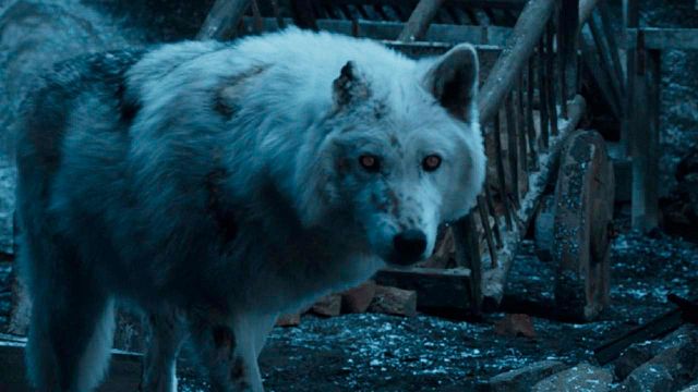 'Game of Thrones': La verdadera razón por la que Jon no se despidió de Ghost noticias imagen