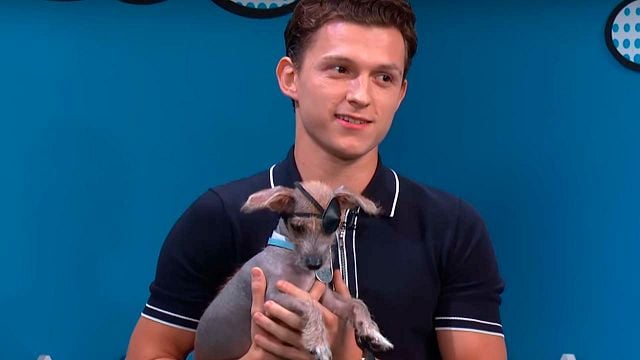 Tom Holland: Un verdadero superhéroe de perritos