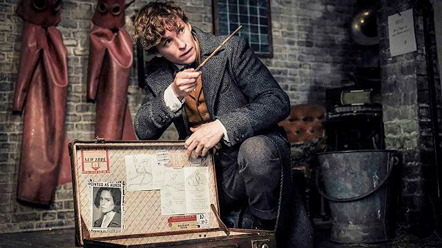 'Animales fantásticos 3': Eddie Redmayne actualiza el estado de  la cinta noticias imagen
