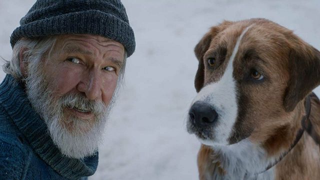 'El llamado salvaje': Así luce el perro sin los efectos visuales noticias imagen