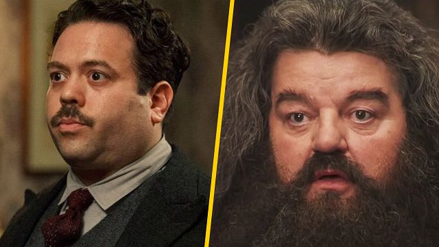 'Animales fantásticos 3': Dan Fogler quiere que Jacob Kowalski  sea niñera de Hagrid noticias imagen