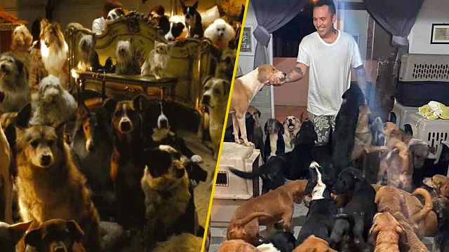 Joven refugió a cientos de animales del huracán Delta y su heroísmo nos recordó a 'Hotel para perros' noticias imagen