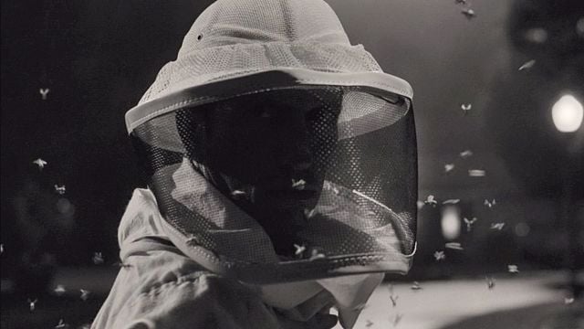 'WandaVision': ¿Quién es el misterioso hombre de las abejas en la serie de Disney+? noticias imagen