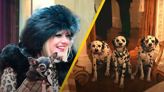 'Cruella': ¿Por qué casi no hay dálmatas reales en la película de Disney?