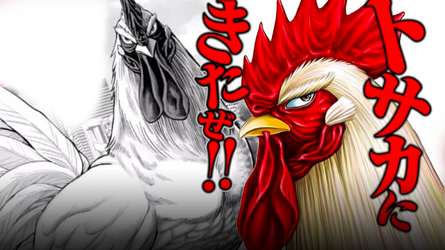 'Rooster Fighter': Un gallo de pelea, cazademonios e inspirado en Jackie Chan y Bruce Willis. noticias imagen