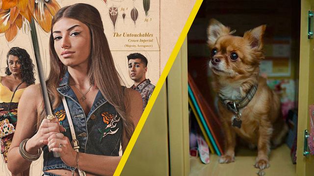 'Sex Education': Conoce a las mascotas del cast de la serie de Netflix 