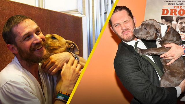 'Venom 2': Tom Hardy confiesa por qué ama más a los perros que a los humanos noticias imagen
