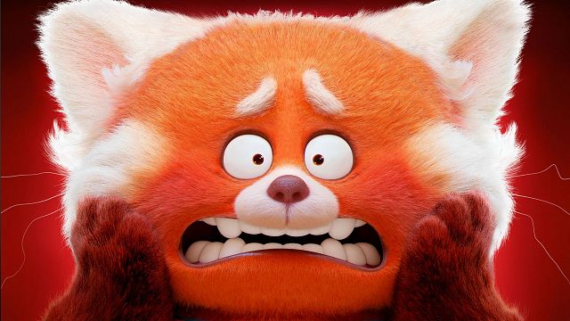 'Red': ¡Un oso panda rojo se adueñó de las redes sociales de Sensacine México! noticias imagen