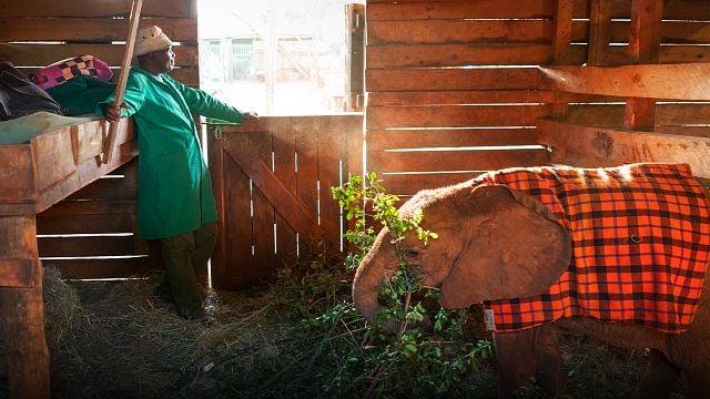 'Un planeta perfecto' presenta episodio dedicado al clima y cómo impacta la vida en la Tierra noticias imagen