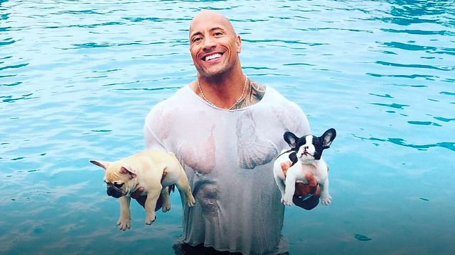'DC Liga de Supermascotas': El amor de Dwayne Johnson a sus perritos que te robará el corazón noticias imagen