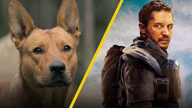 'Mad Max' inspiró al director de 'Depredador: La presa' para introducir a la perrita Coco noticias imagen