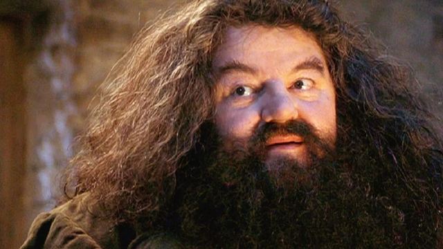 Fans de 'Harry Potter' despiden con sus varitas a Hagrid 