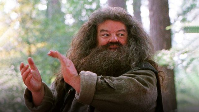 5 momentos que comprueban que Hagrid es el mejor personaje de 'Harry Potter' 